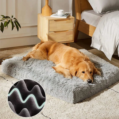 Plush Dog Bed