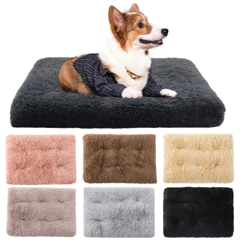 Plush Dog Bed